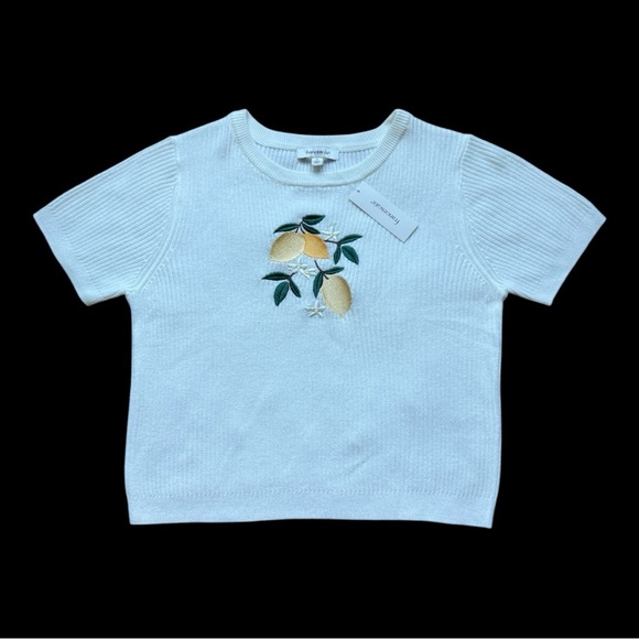 Francesca's Collections Sweaters - Francesca's Patrica Embroidered Lemon Sweater - Size S - NWT